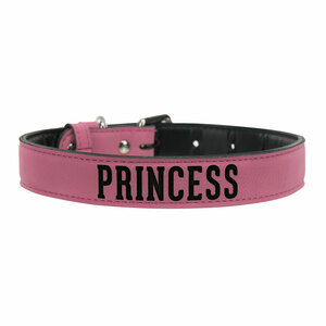 M/L Princess by We Pets -  21" PU Leather Pet Collar