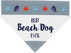 Beach Dog by We Pets - 