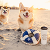 Beach Dog by We Pets - Scene2
