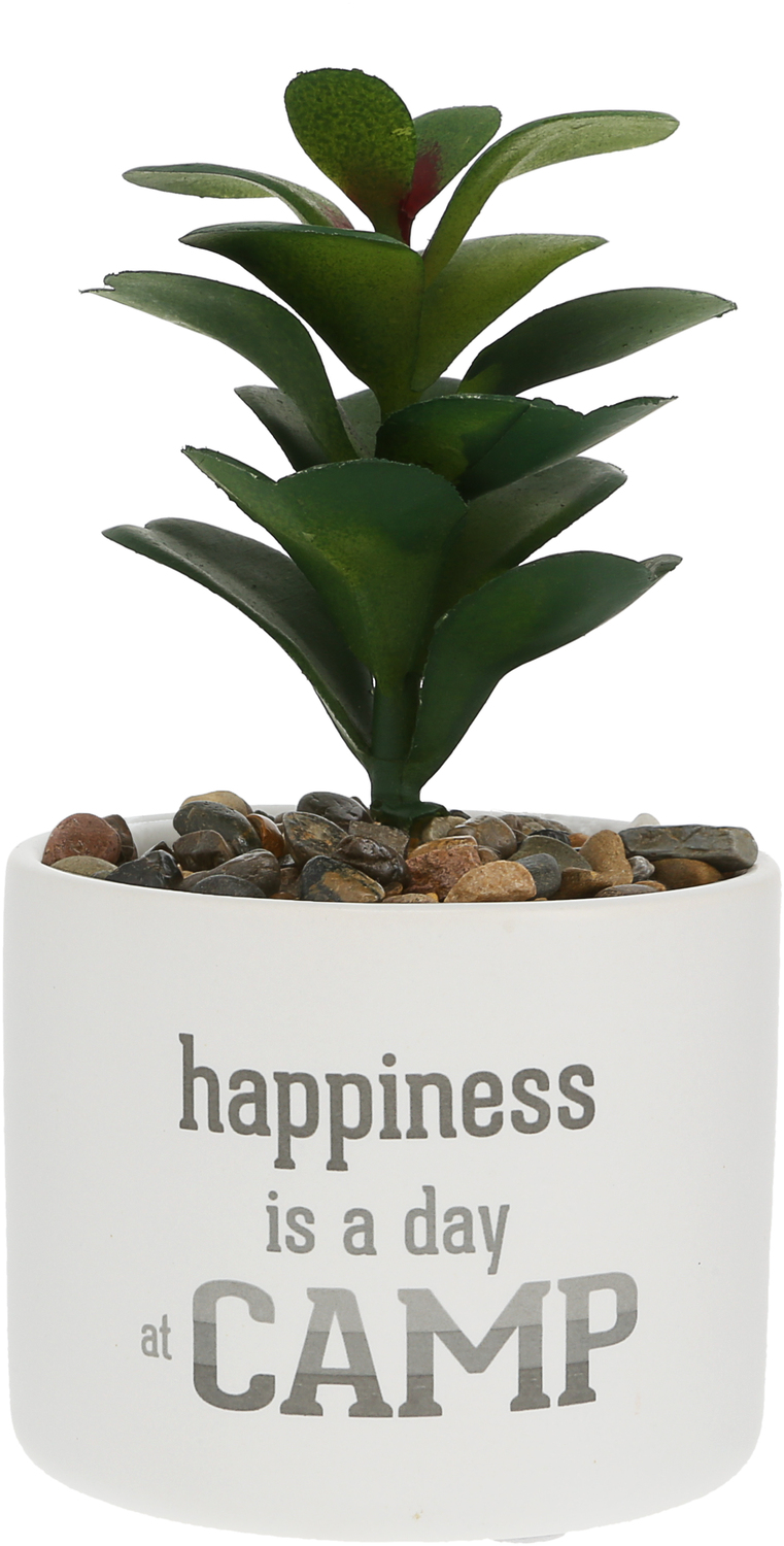 Camp by We People - Camp - Artificial Potted Plant