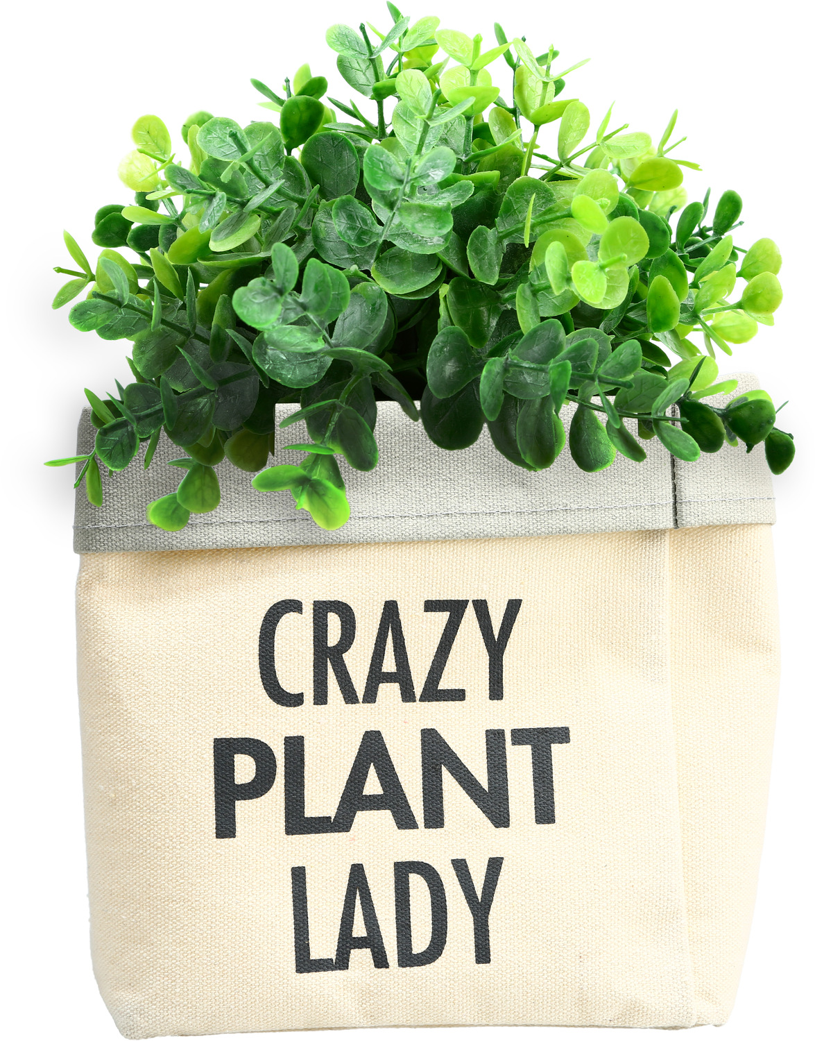 Plant Lady by Open Door Decor - Plant Lady - Canvas Planter Cover
(Holds a 6" Pot)