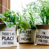 Bless This Home by Open Door Decor - Scene1