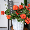 Bless This Home by Open Door Decor - Scene1