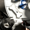 Bone by Furever Pawsome - Scene