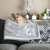Spoiled Dog by Furever Pawsome - Scene