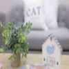 Cat by Thoughts of Home - Video