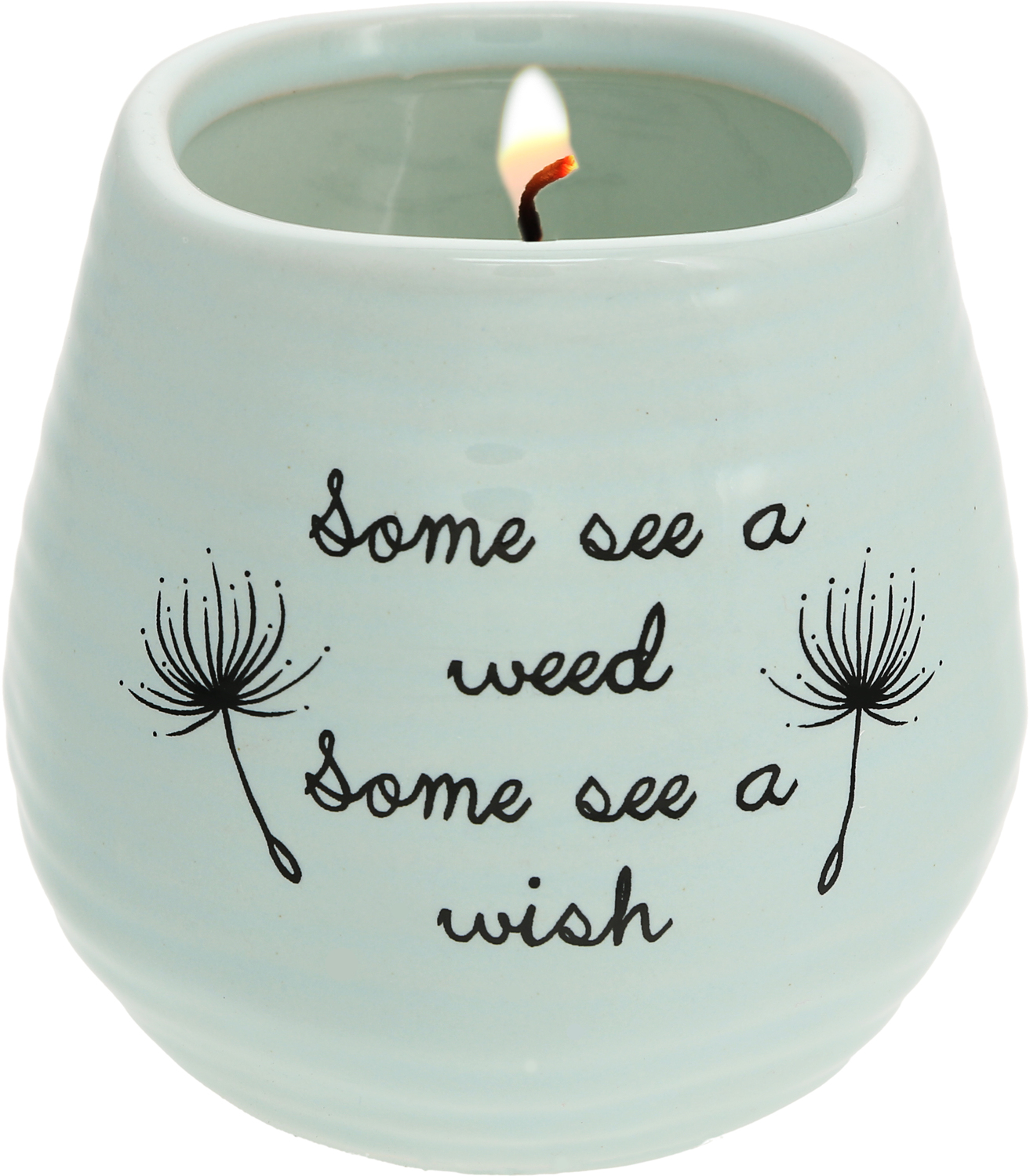 Some See a Wish by Dandelion Wishes - Some See a Wish - 8 oz - 100% Soy Wax Candle
Scent: Serenity
