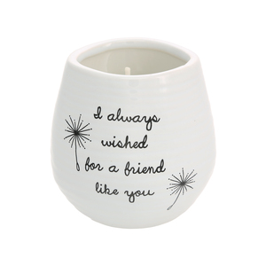 Friend Like You by Dandelion Wishes - 8 oz - 100% Soy Wax Candle
Scent: Serenity