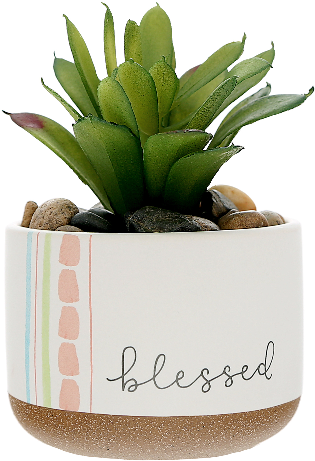 Blessed by Graceful Love -BCB - Blessed - 5" Artificial Potted Plant