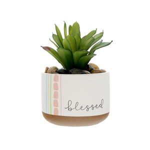 Blessed by Graceful Love -BCB - 5" Artificial Potted Plant