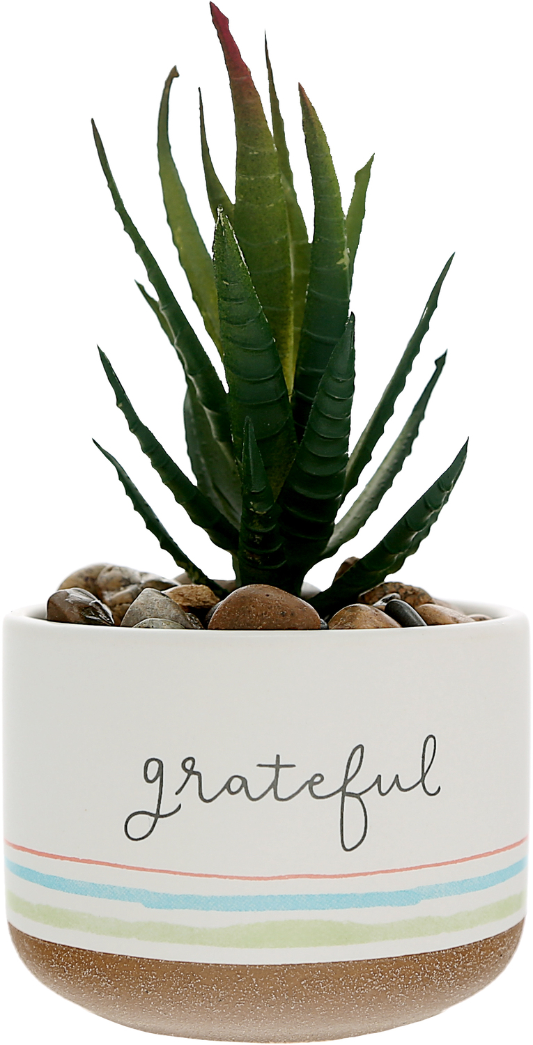 Grateful by Graceful Love -BCB - Grateful - 5" Artificial Potted Plant