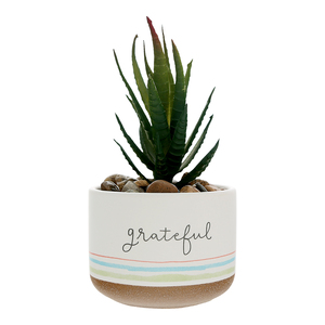 Grateful by Graceful Love -BCB - 5" Artificial Potted Plant