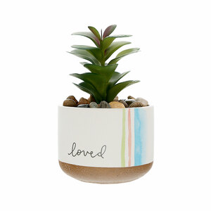 Loved by Graceful Love -BCB - 5" Artificial Potted Plant