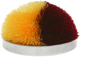Maroon & Yellow by Repre-Scent - 
