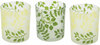Green Fern by Candle Decor - 