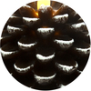 Brown Pine Cone by Pavilion Accessories - CloseUp